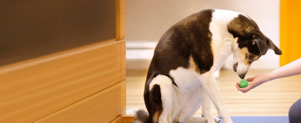 Gesundheitstraininig